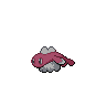 Dark Tatsugiri (Droopy)